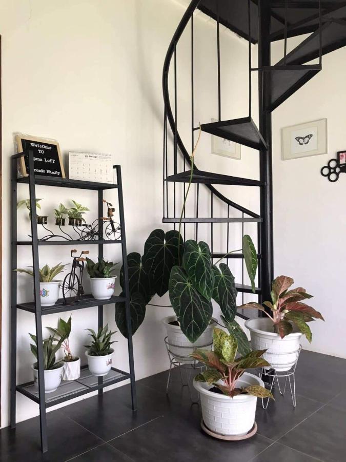 Laguna Loft Camiguin مامباجاو المظهر الخارجي الصورة
