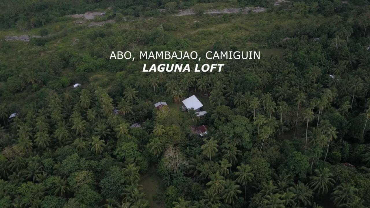 Laguna Loft Camiguin مامباجاو المظهر الخارجي الصورة